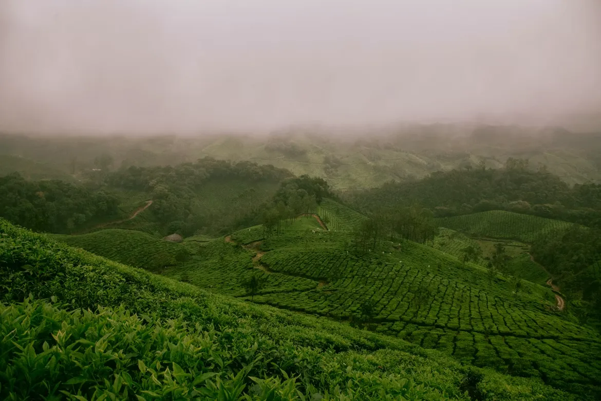 Ooty