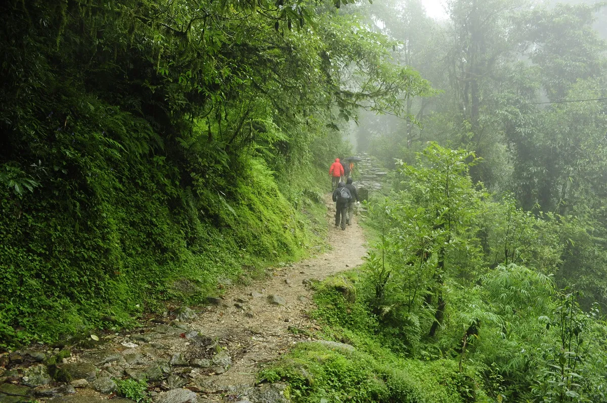 Eco Tourism